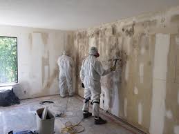 Biohazard Mold Removal in Stockton, KS